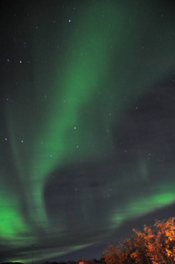 um inesquecível show de luzes da Aurora Boreal nos céus de Coldfoot, 95 km ao norte do Círculo Polar, na Dalton Highway, no Alaska